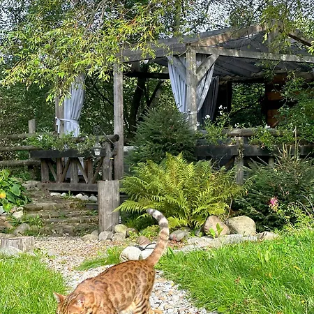 Gorska Osada Beautiful Zakopane