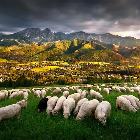 Gorska Osada Beautiful *