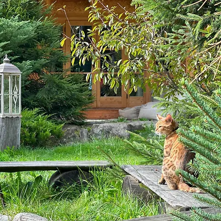 Alpstuga Gorska Osada Beautiful