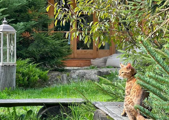 Alpesi faház Gorska Osada Beautiful